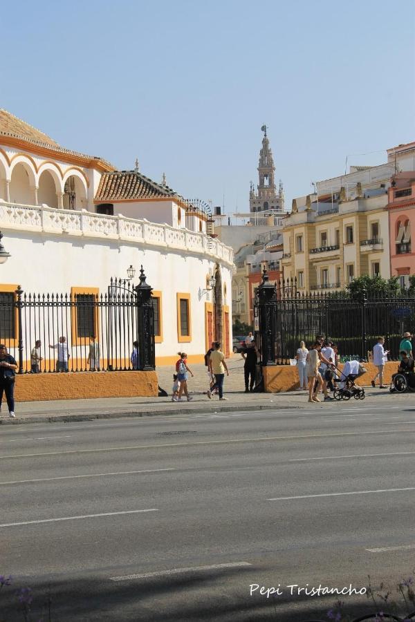 סביליה Suites Las Setas & Bicicletas Electricas Gratis מראה חיצוני תמונה